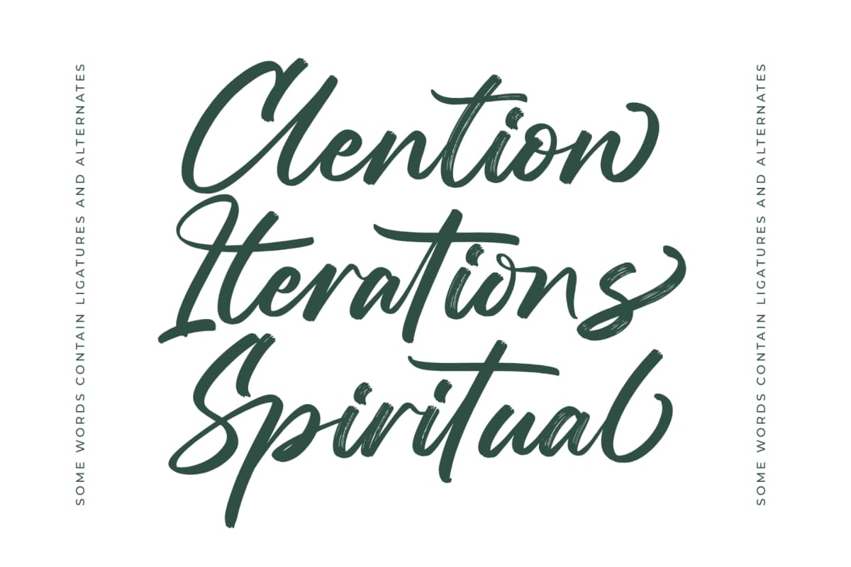 Preview 14 for Straight Pathart - Modern Brush Font