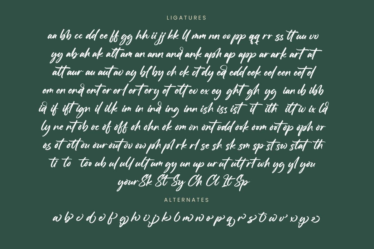 Preview 19 for Straight Pathart - Modern Brush Font