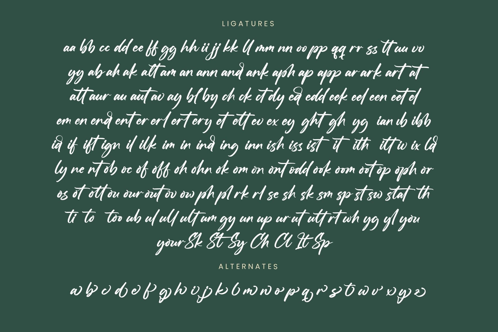 Preview 19 for Straight Pathart - Modern Brush Font
