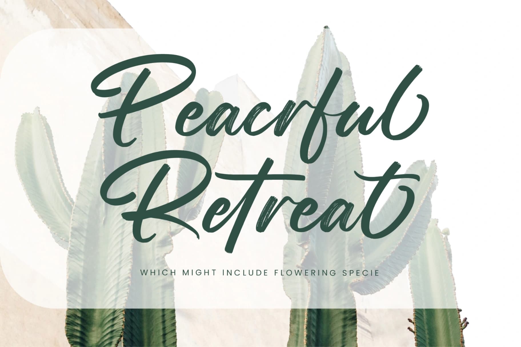 Preview 10 for Straight Pathart - Modern Brush Font
