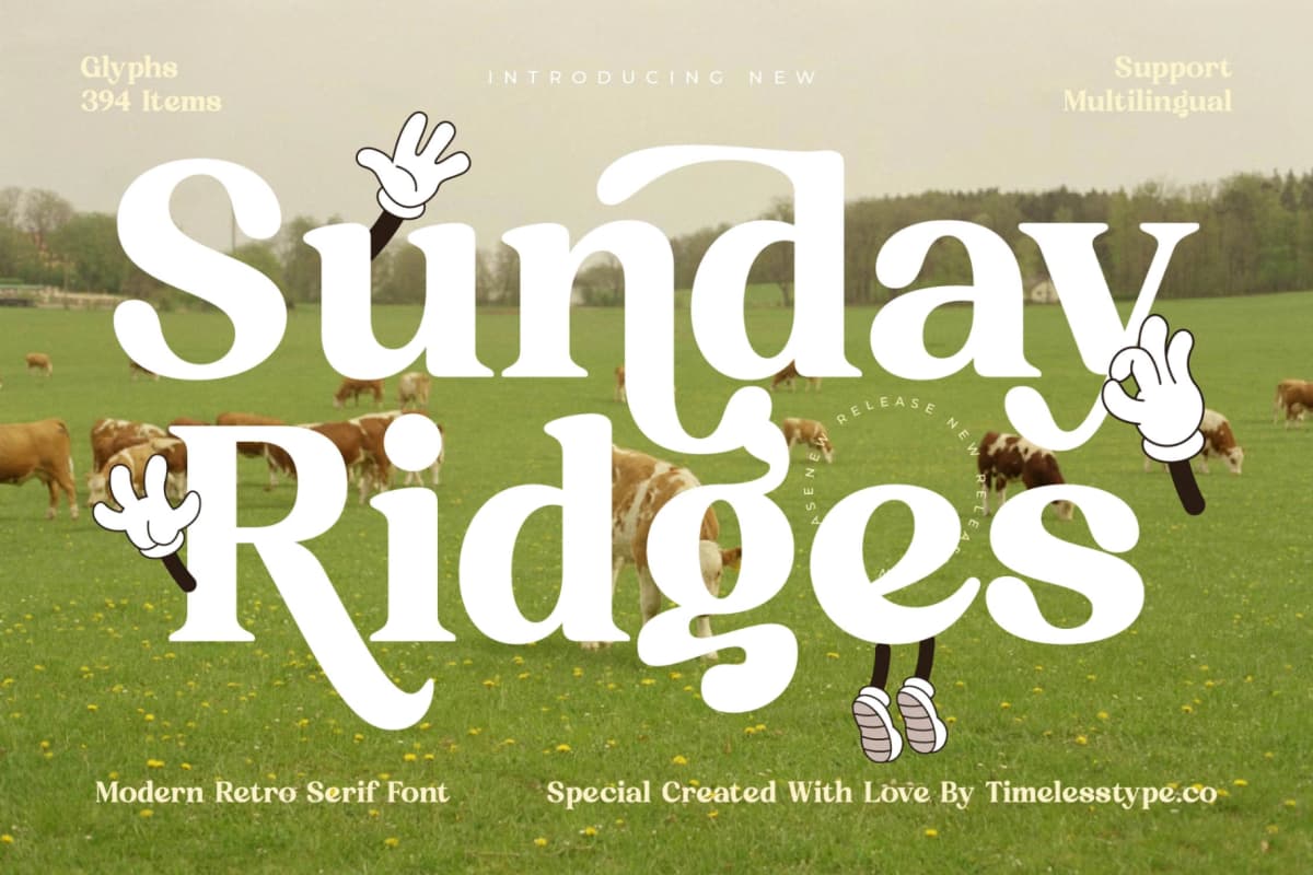 Preview 1 for Sunday Ridges - Modern Retro Serif Font