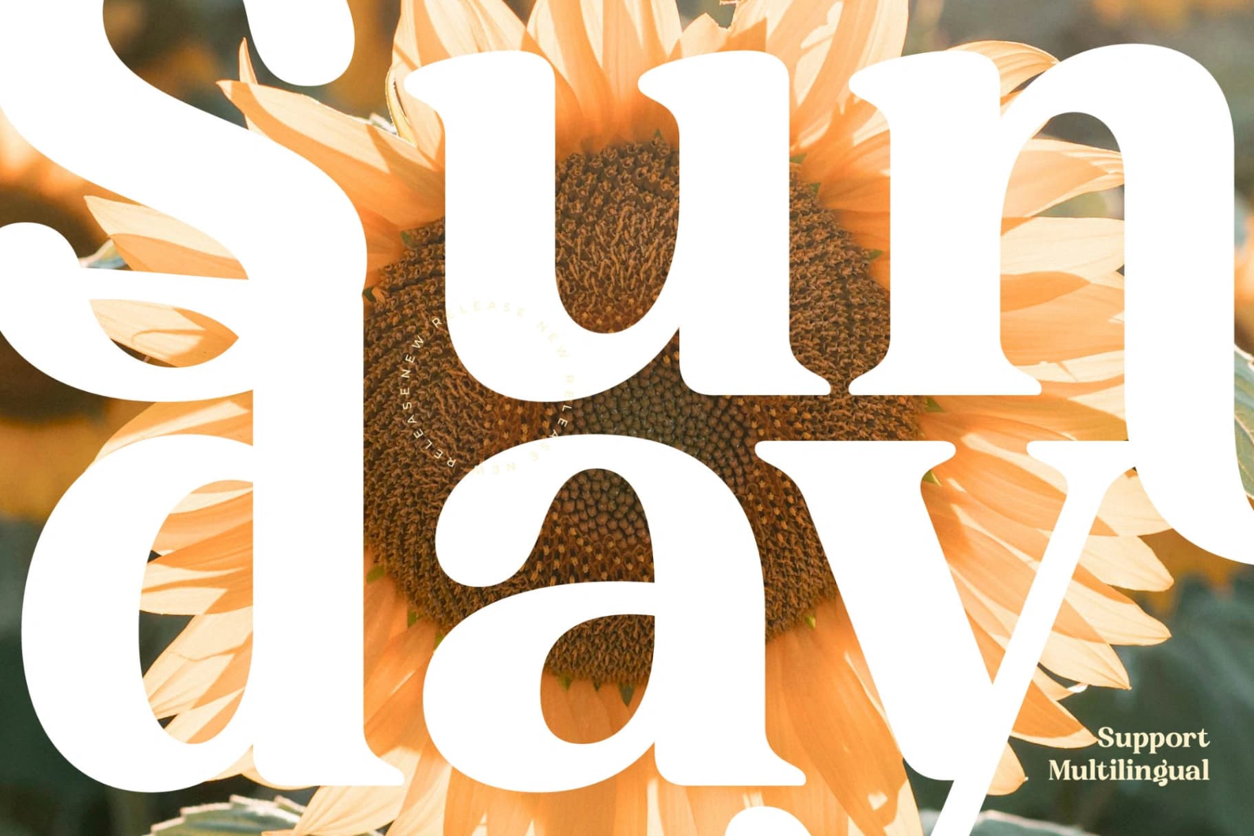 Preview 11 for Sunday Ridges - Modern Retro Serif Font