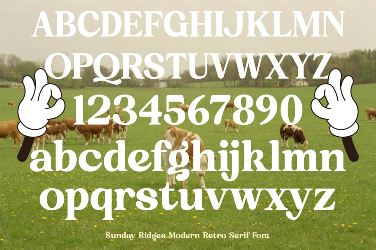 Preview 18 for Sunday Ridges - Modern Retro Serif Font