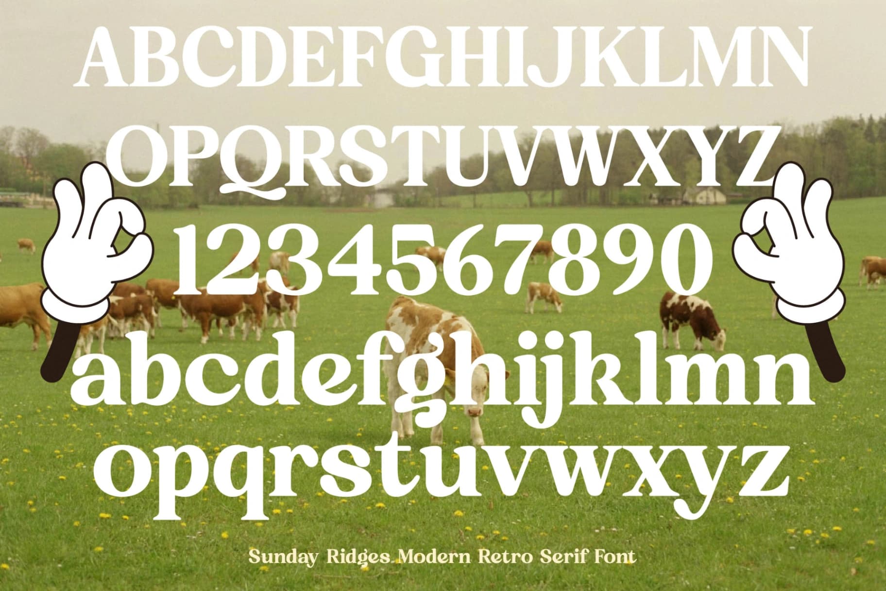 Preview 18 for Sunday Ridges - Modern Retro Serif Font