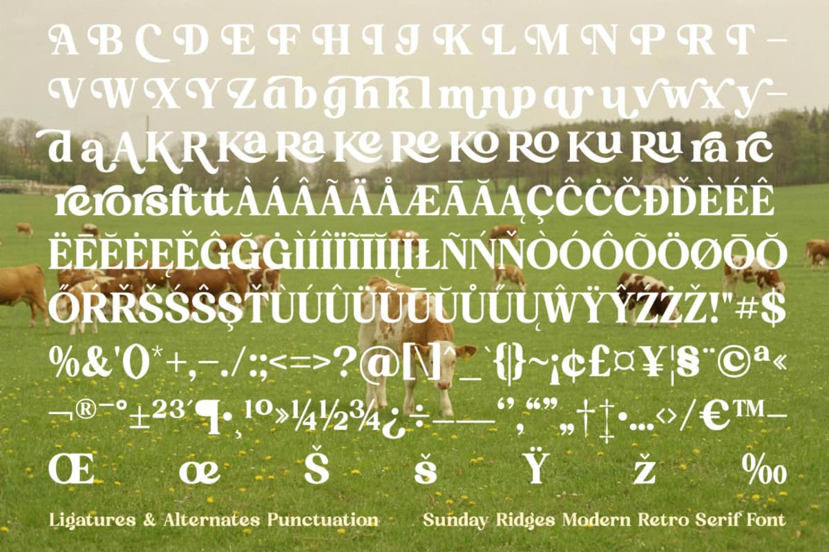 Preview 19 for Sunday Ridges - Modern Retro Serif Font
