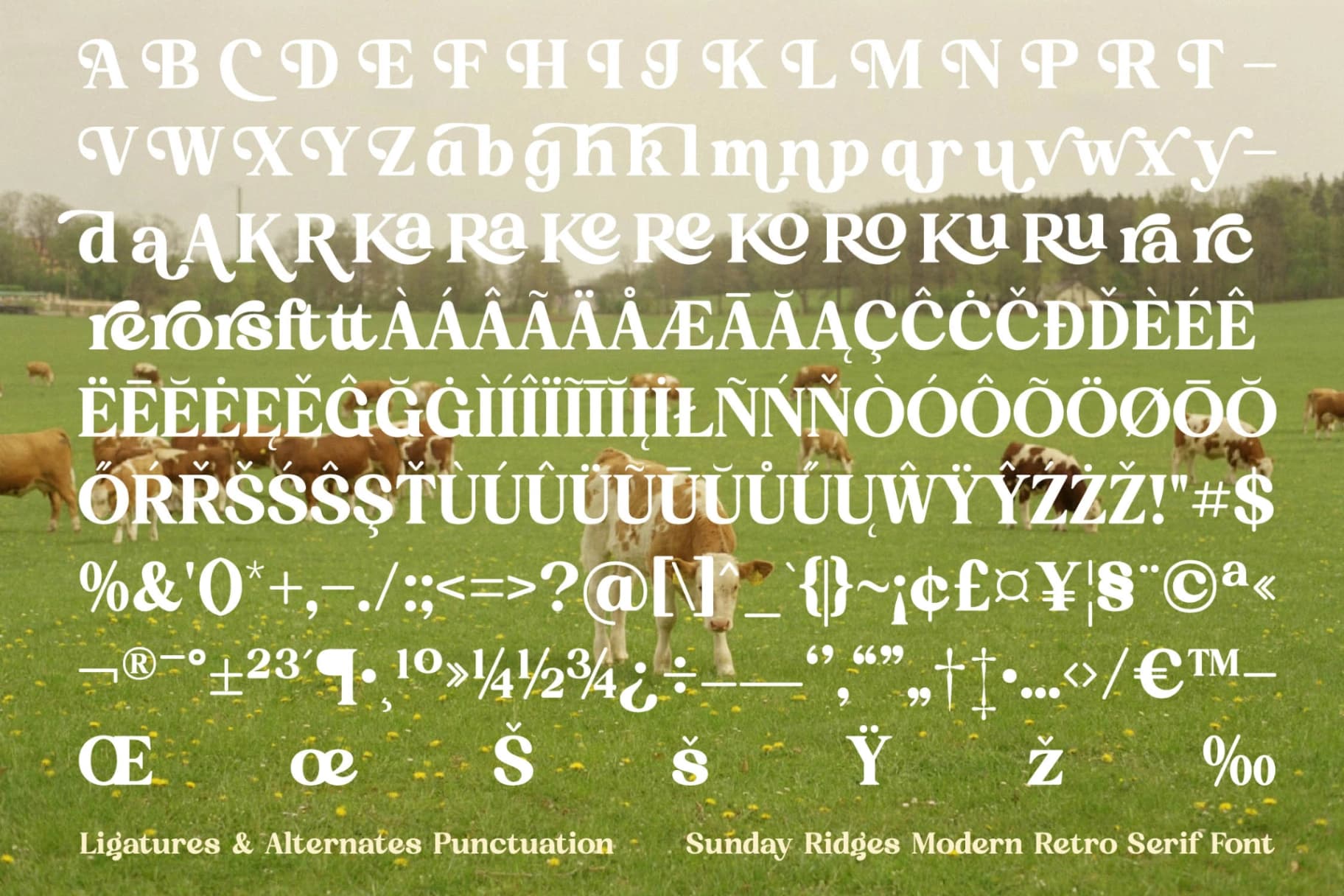 Preview 19 for Sunday Ridges - Modern Retro Serif Font