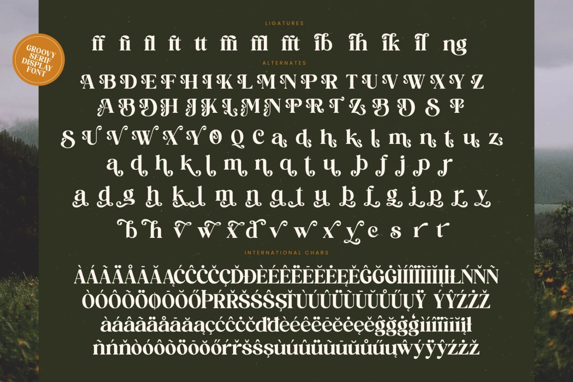 Preview 19 for Brighto Wander - Groovy Serif Display Font