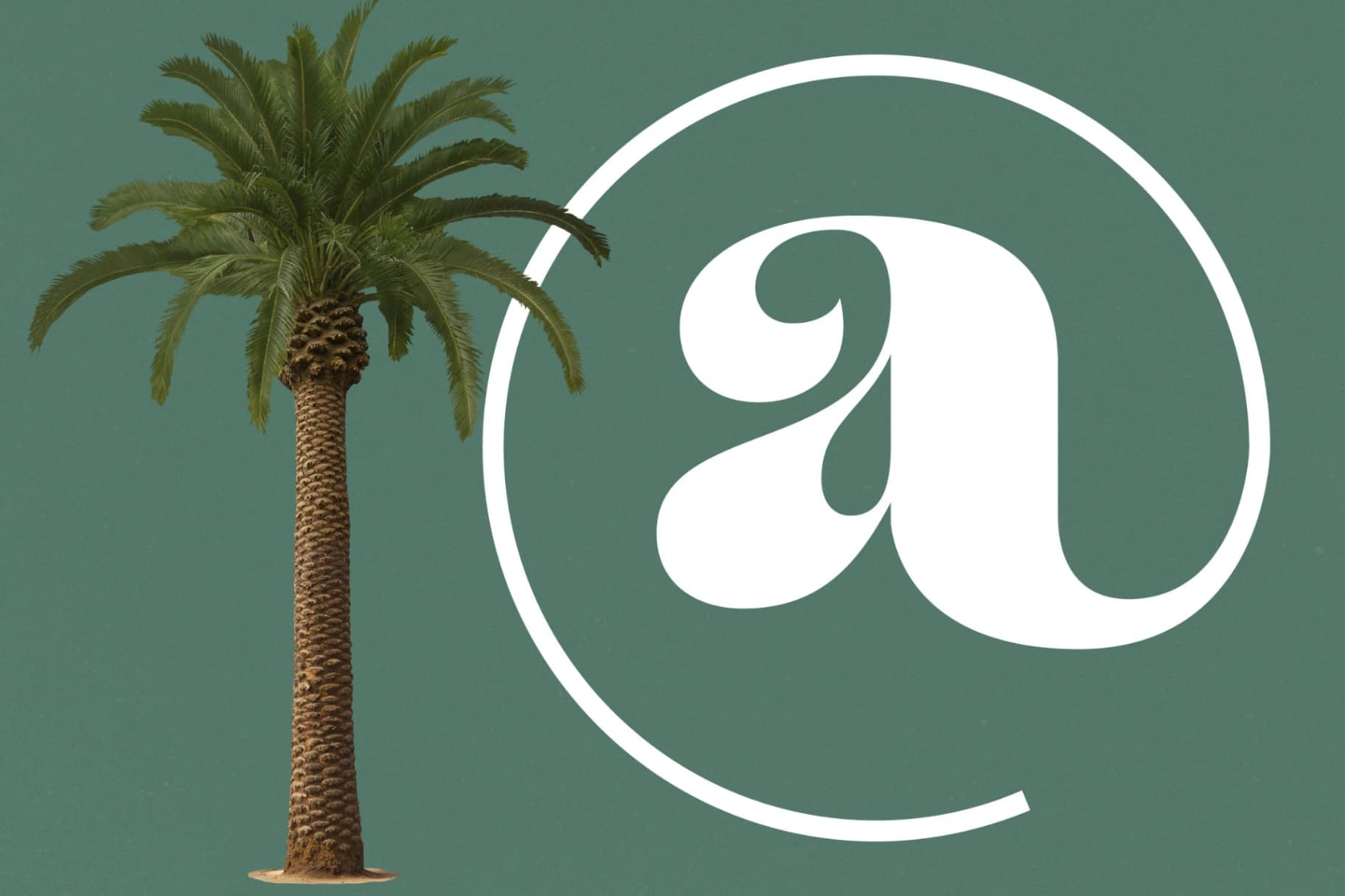 Preview 11 for Arilast Kingde - Modern Alternate Serif Font