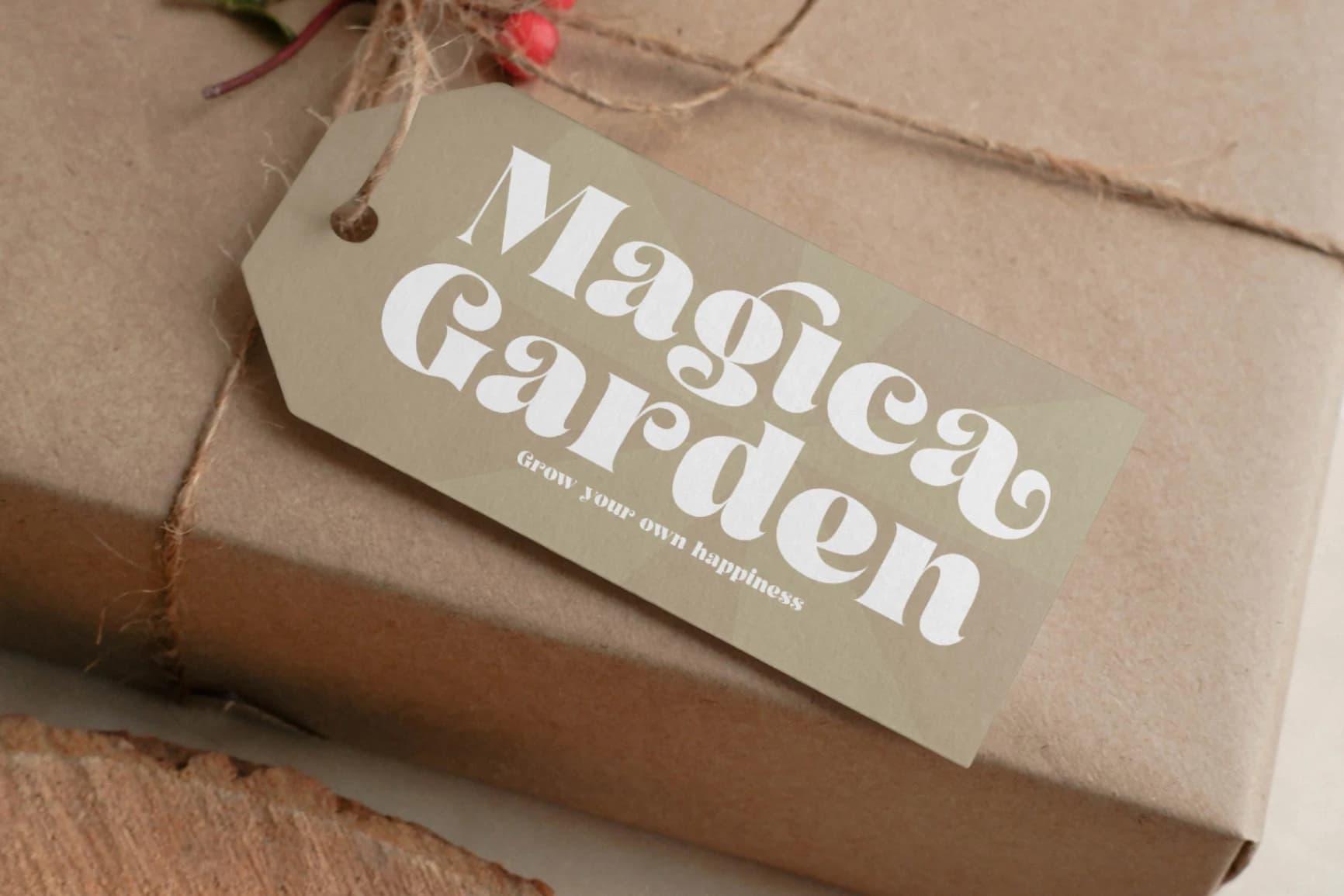 Preview 13 for Arilast Kingde - Modern Alternate Serif Font