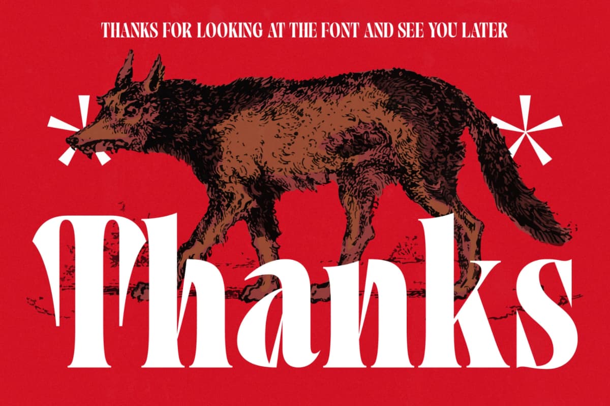 Tieldsa - Bold Serif Display Font font preview 20