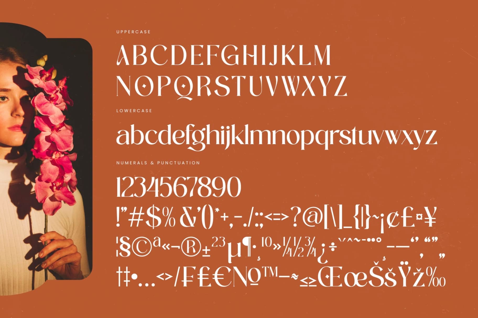 Preview 18 for Achieve Fabrics - Bold Tall Serif Font
