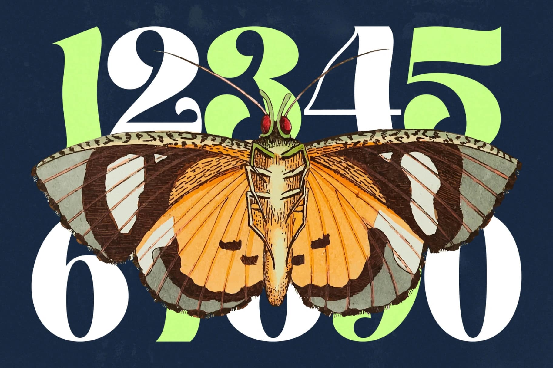 Preview 14 for Megilant - Modern Display Font