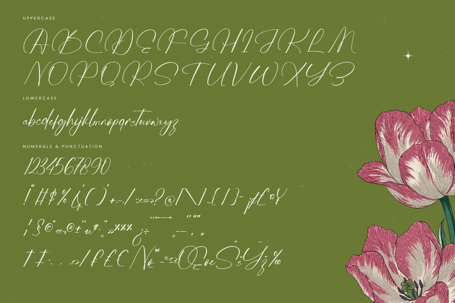 Preview 18 for Josephine Octavia - Stylish Calligraphy Font