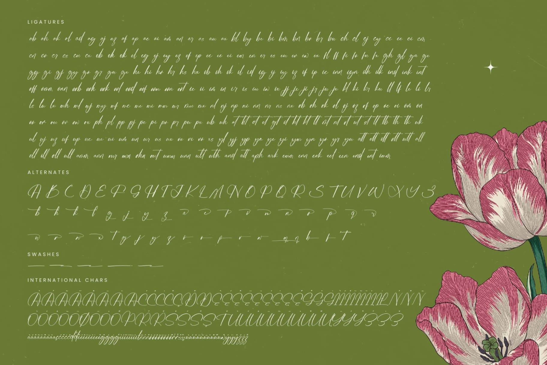 Preview 19 for Josephine Octavia - Stylish Calligraphy Font