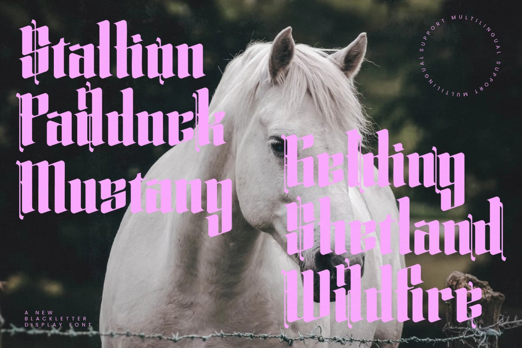Preview 17 for Silakins - New Blackletter Display Font