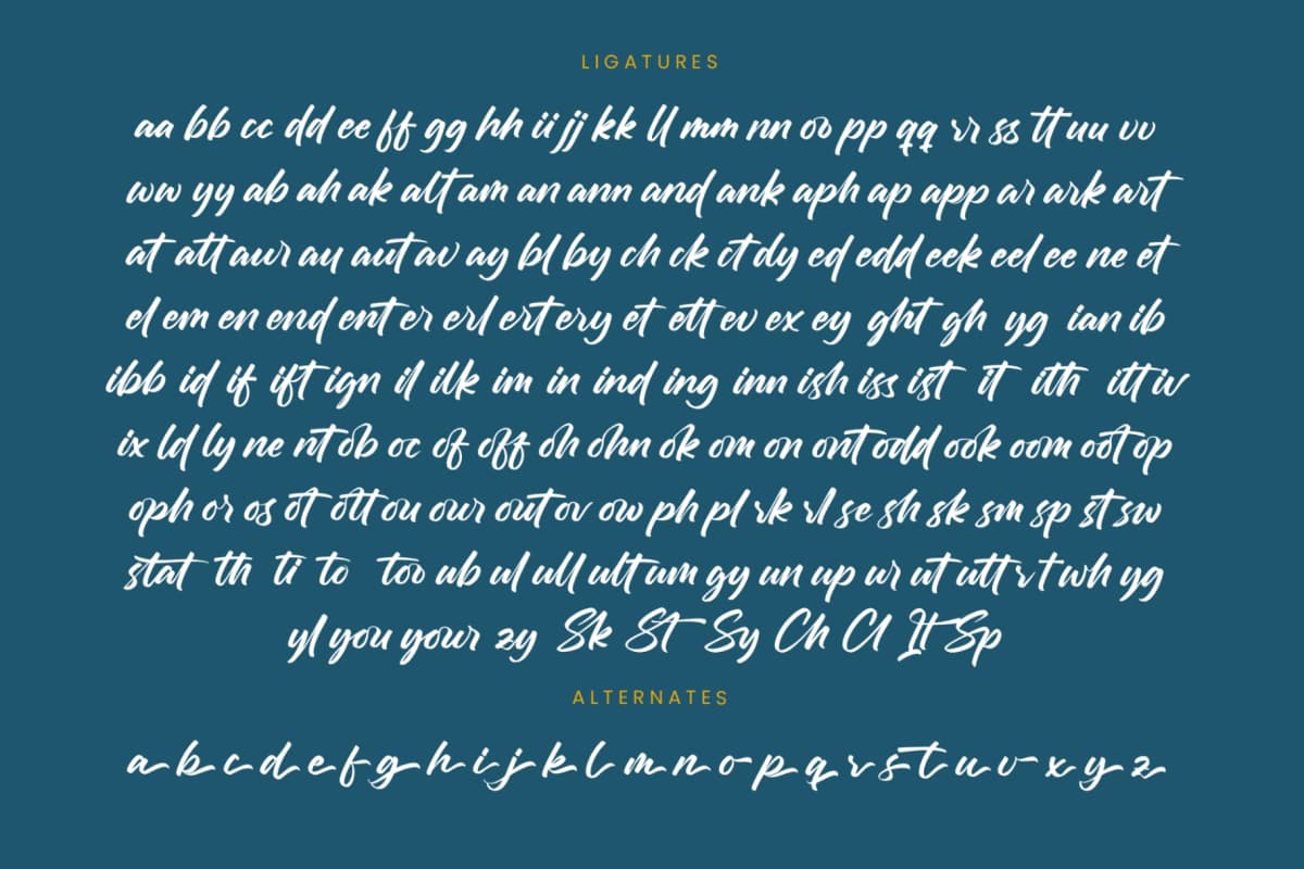 Chifest Skater - Bold Handwritten Font font preview 19