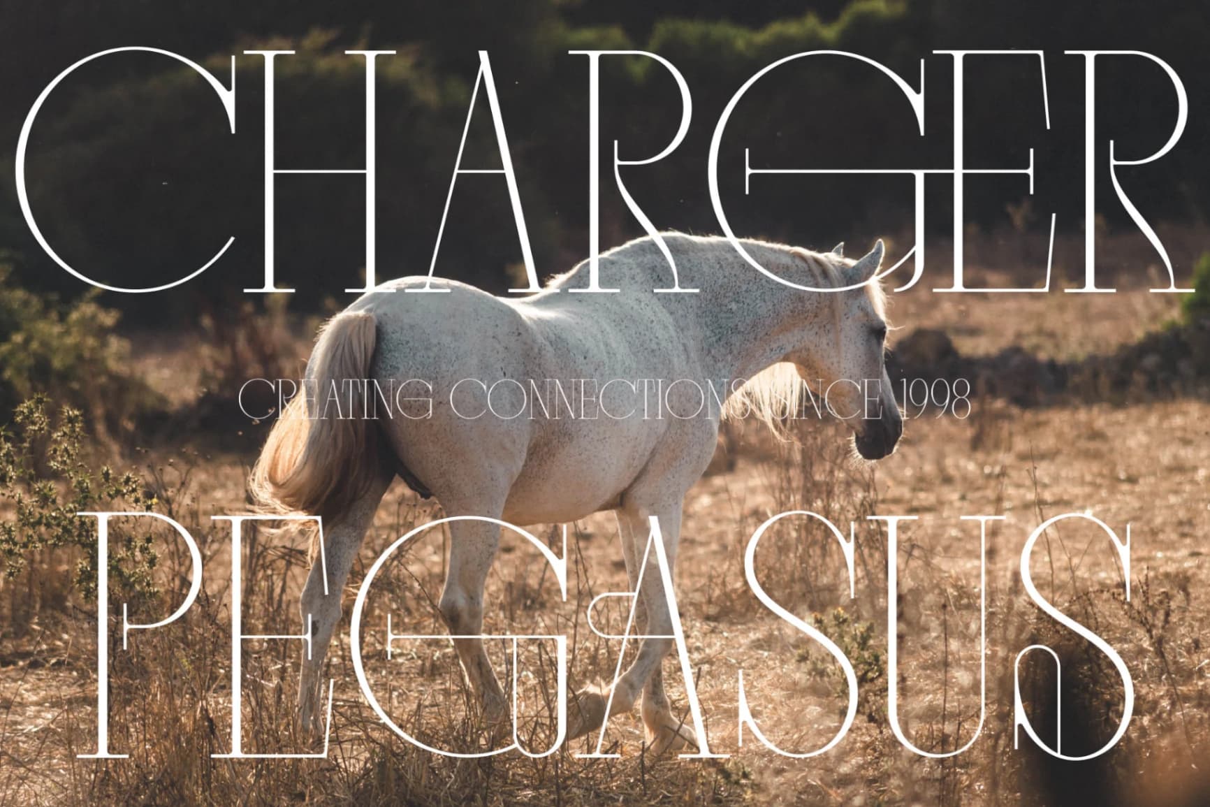 Preview 3 for Mocros - New Tall Serif Font