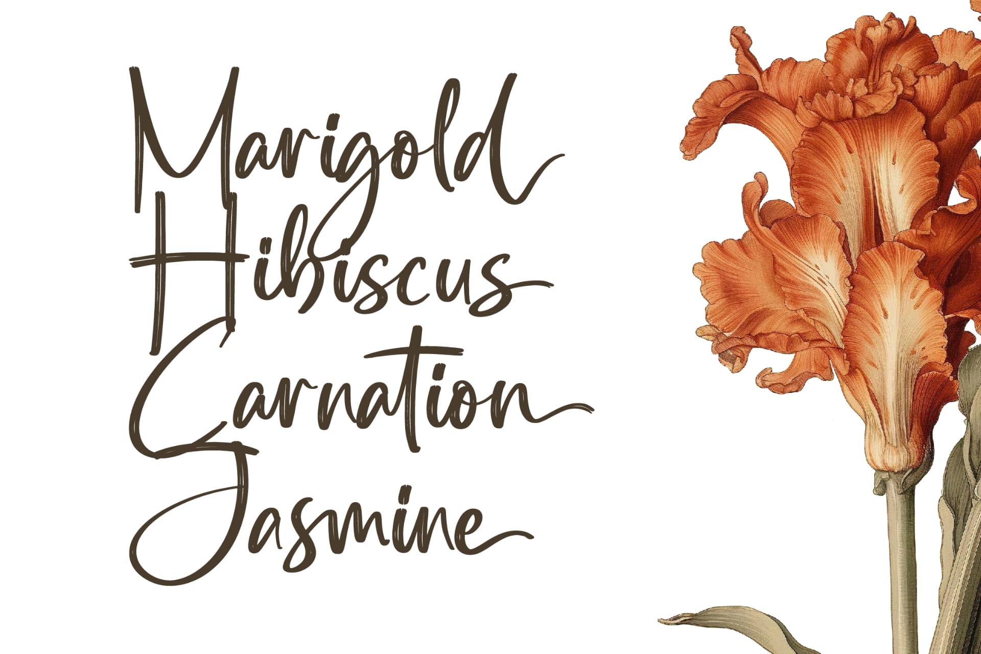 Preview 10 for Southery - Bold Brush Font