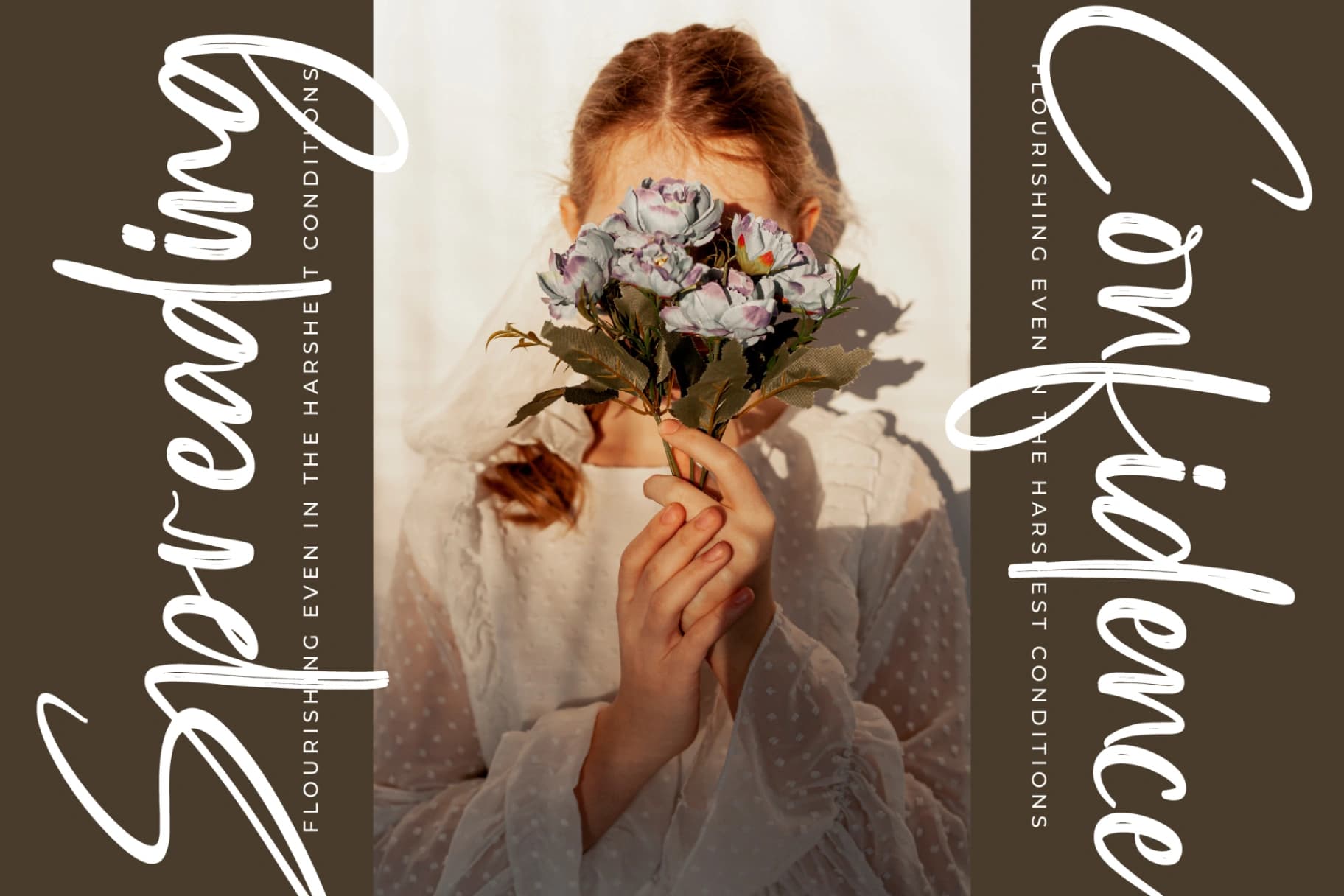 Preview 5 for Southery - Bold Brush Font