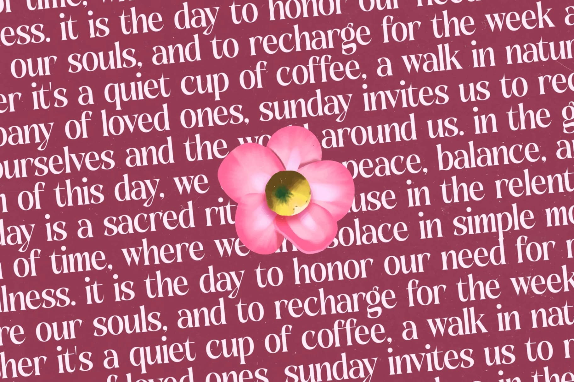 Preview 13 for Rituals Sunday - Serif Display Font