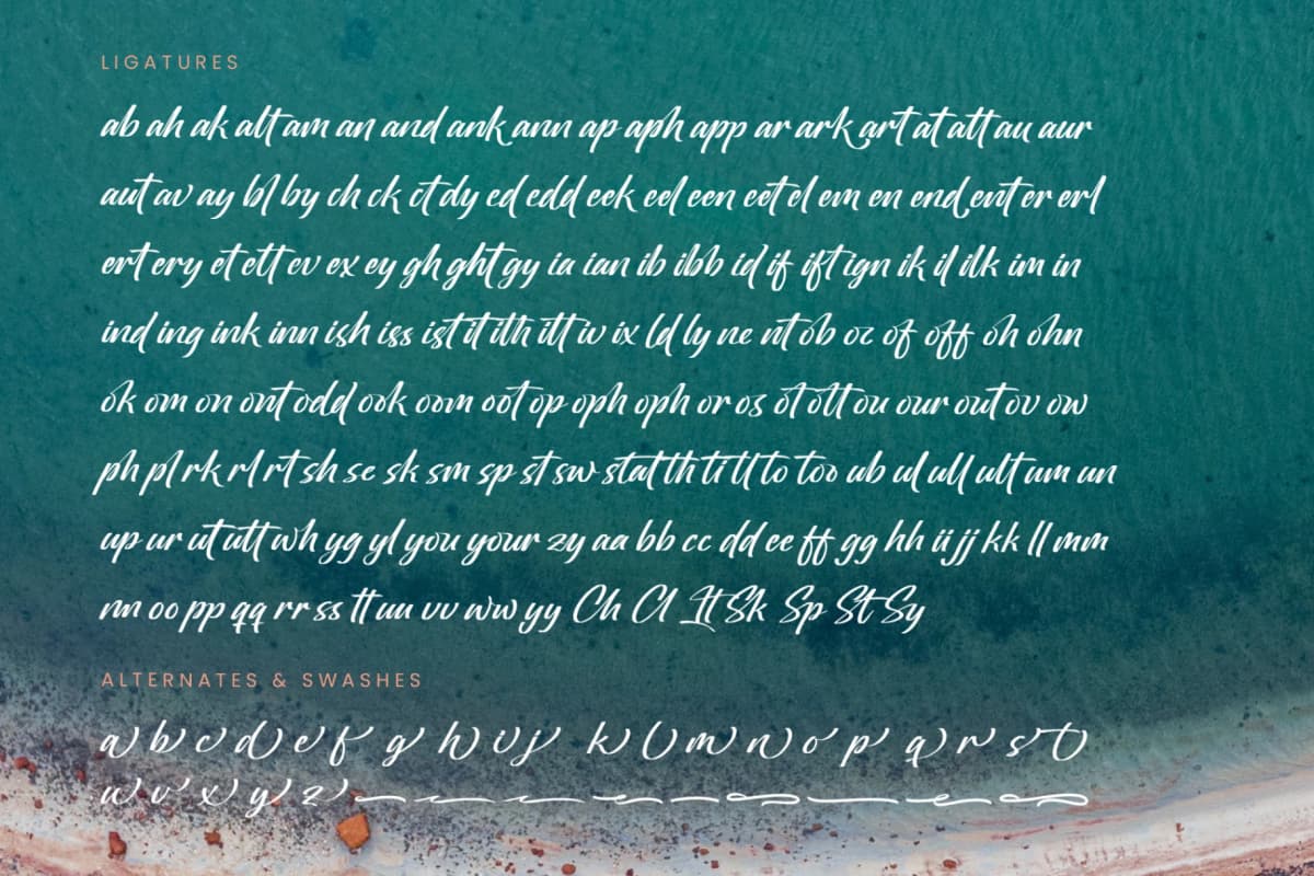 Oregoni Beach - Bold Handwritten Font font preview 19