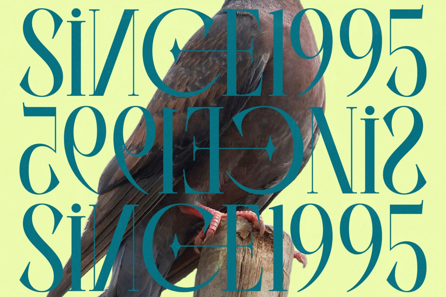 Preview 6 for Balliome - Modern Serif Typeface