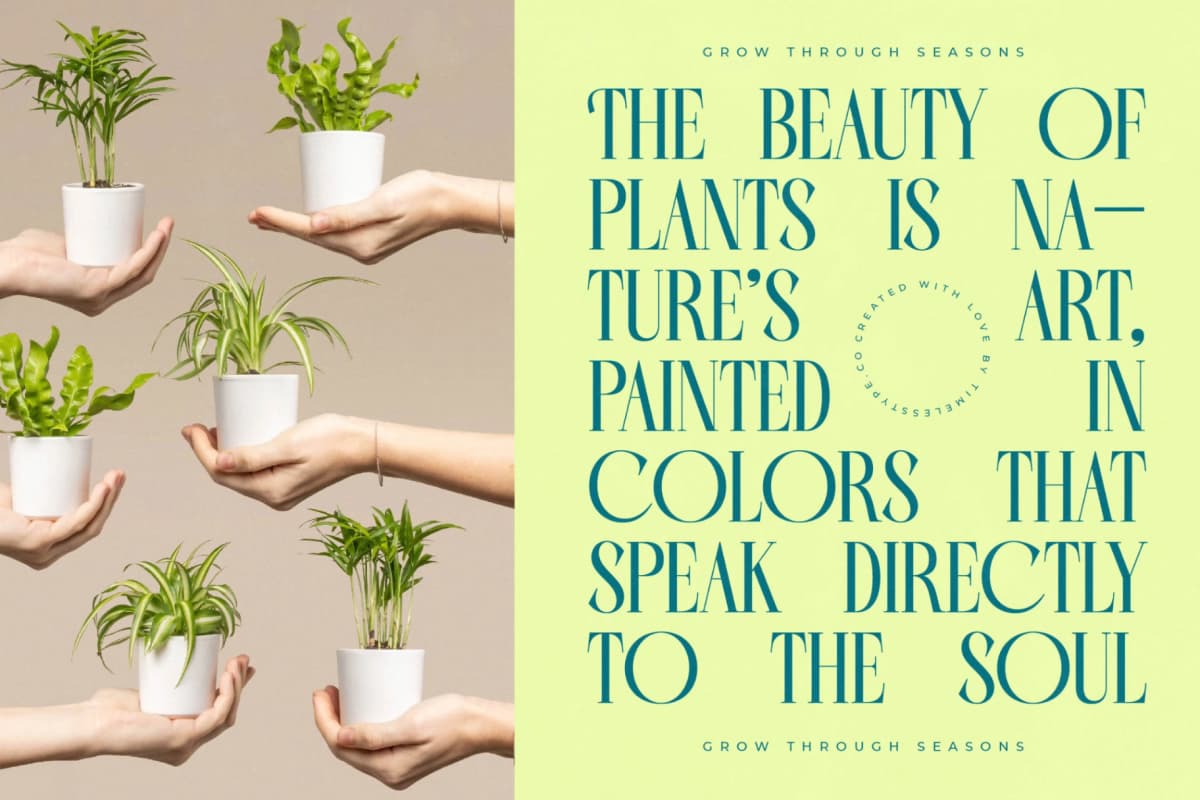 Balliome - Modern Serif Typeface font preview 10