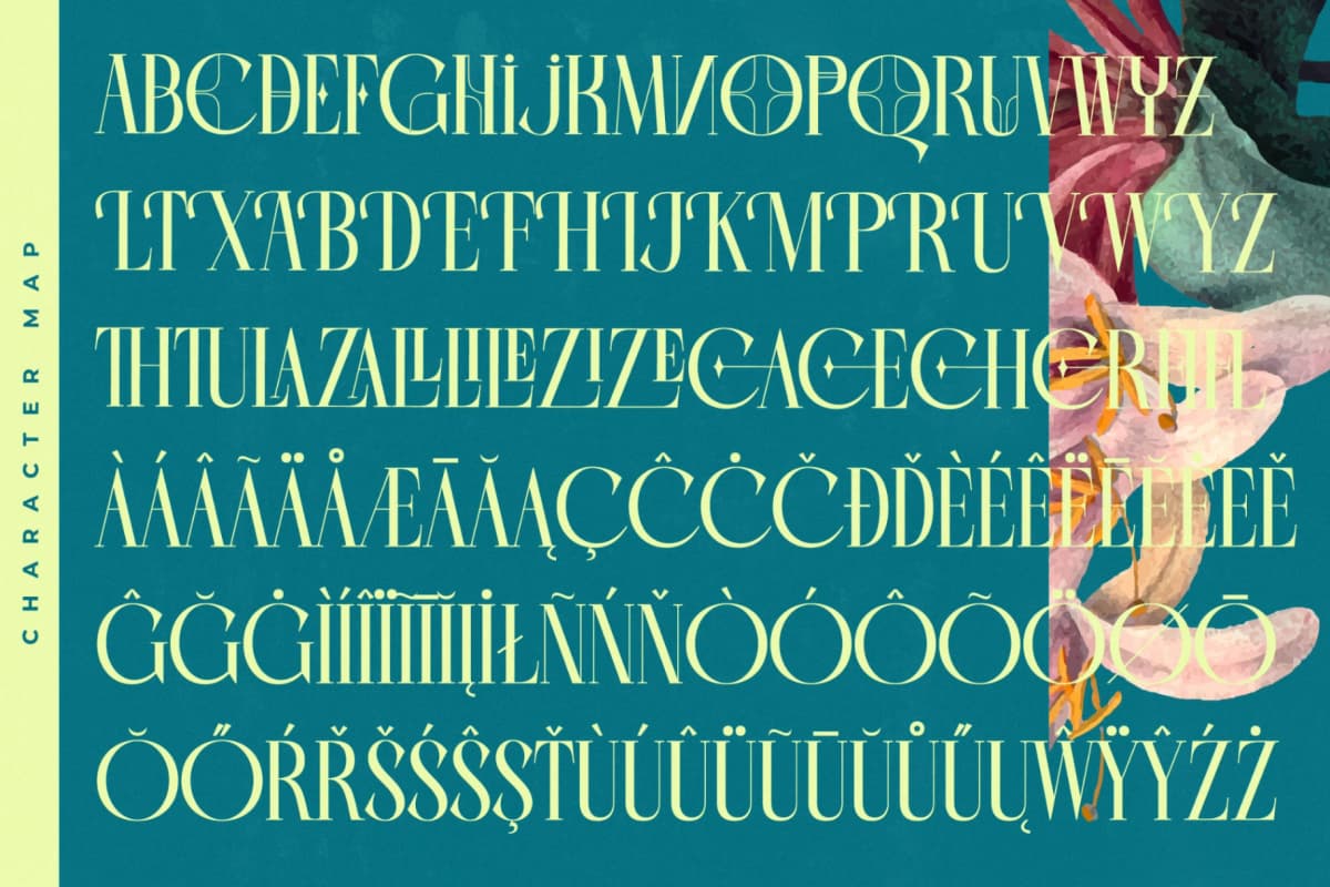 Balliome - Modern Serif Typeface font preview 19