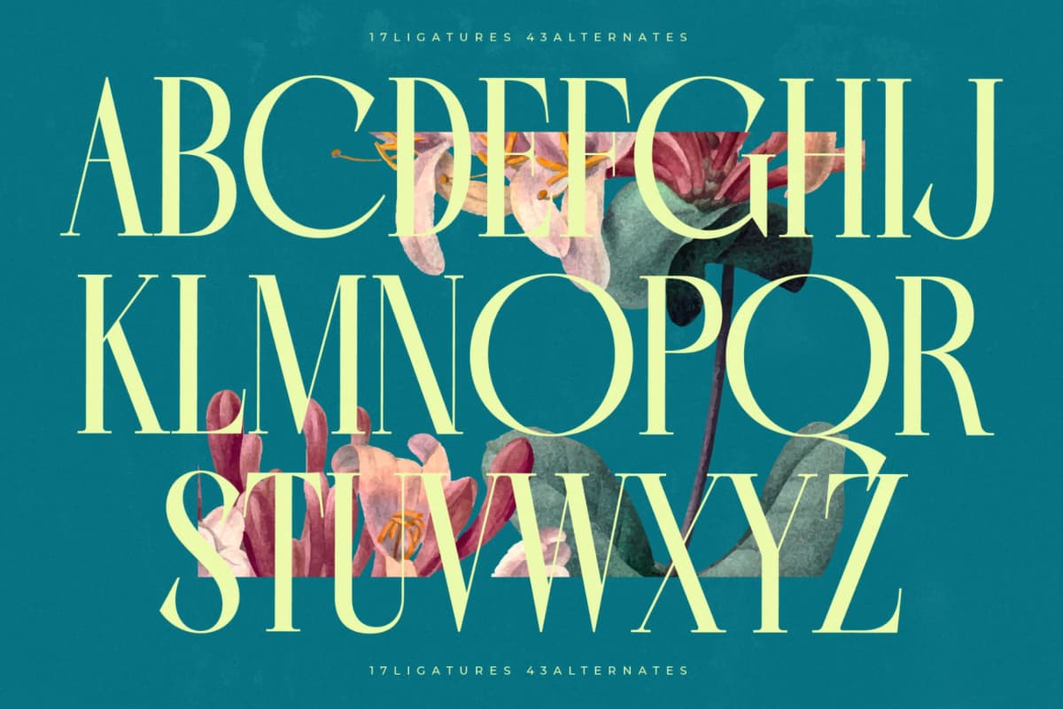 Balliome - Modern Serif Typeface font preview 15