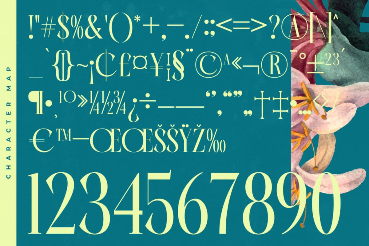 Balliome - Modern Serif Typeface font preview 18