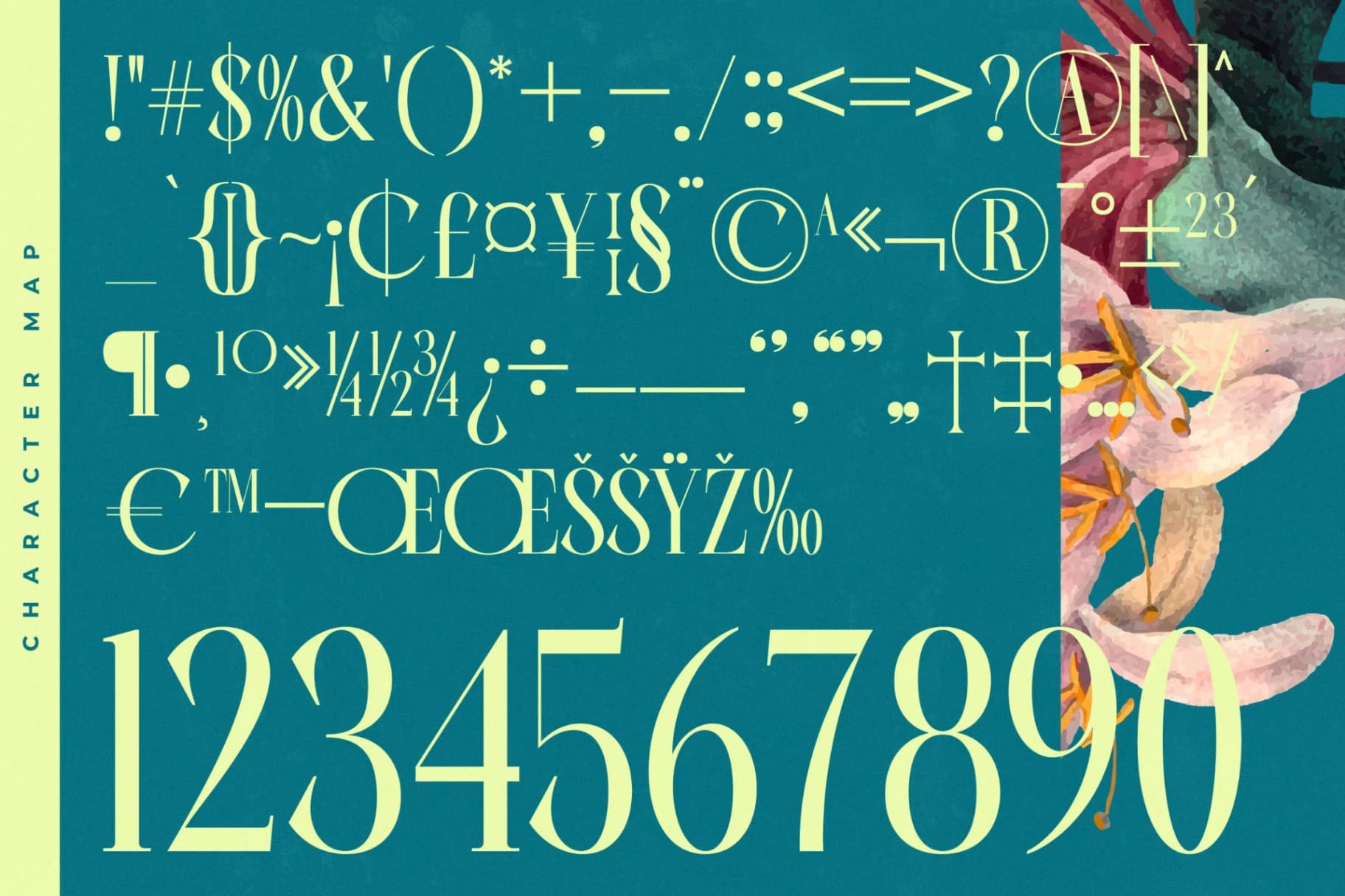 Preview 18 for Balliome - Modern Serif Typeface