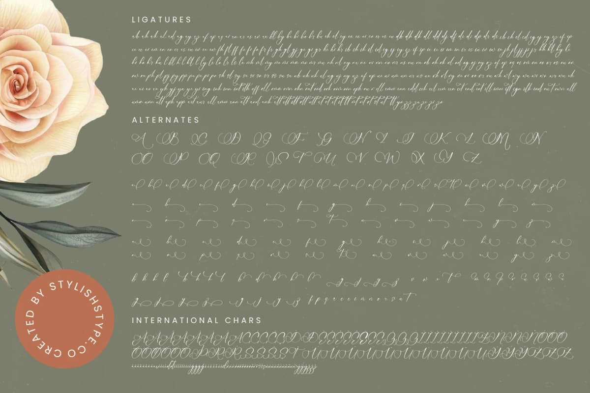 Nourisha Besthafi - Stylish Calligraphy Font font preview 19