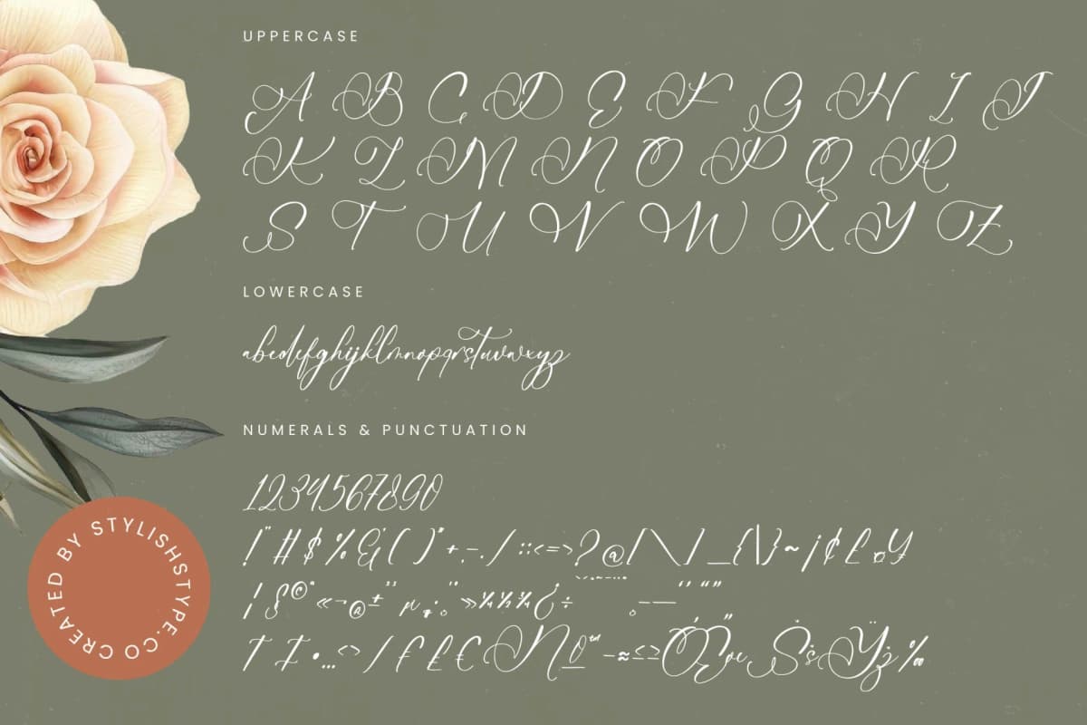 Nourisha Besthafi - Stylish Calligraphy Font font preview 18