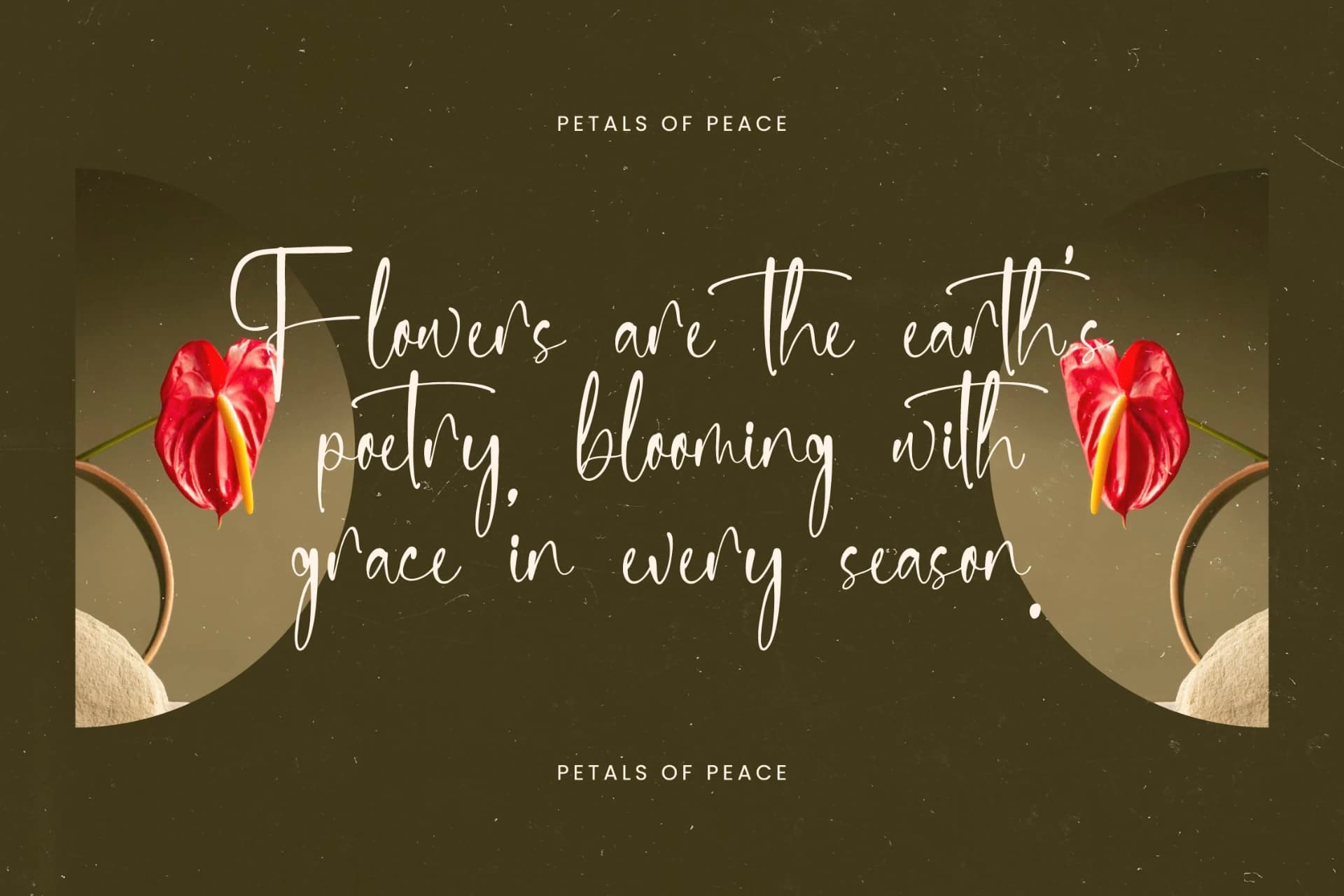 Preview 8 for Delicately - Stylish Handwritten Font