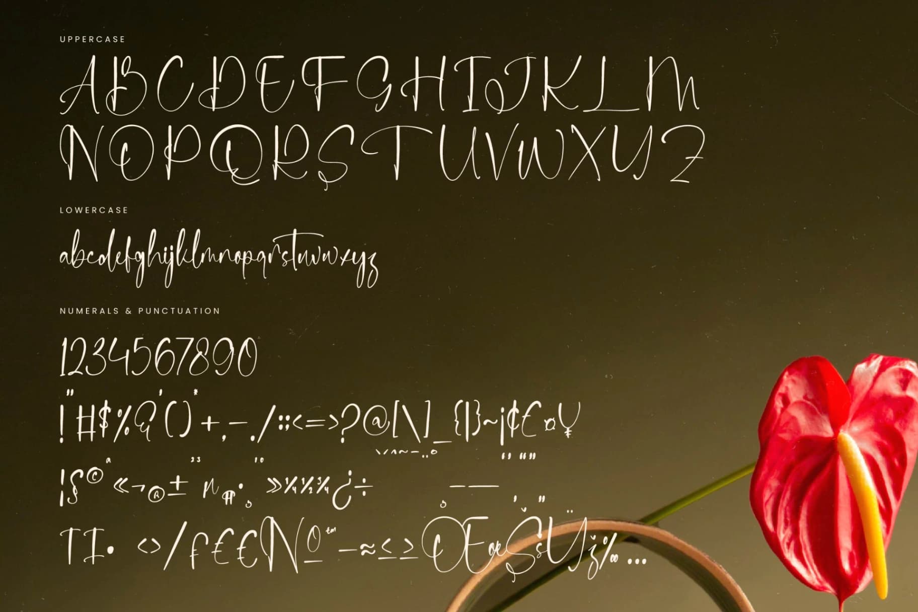 Preview 18 for Delicately - Stylish Handwritten Font