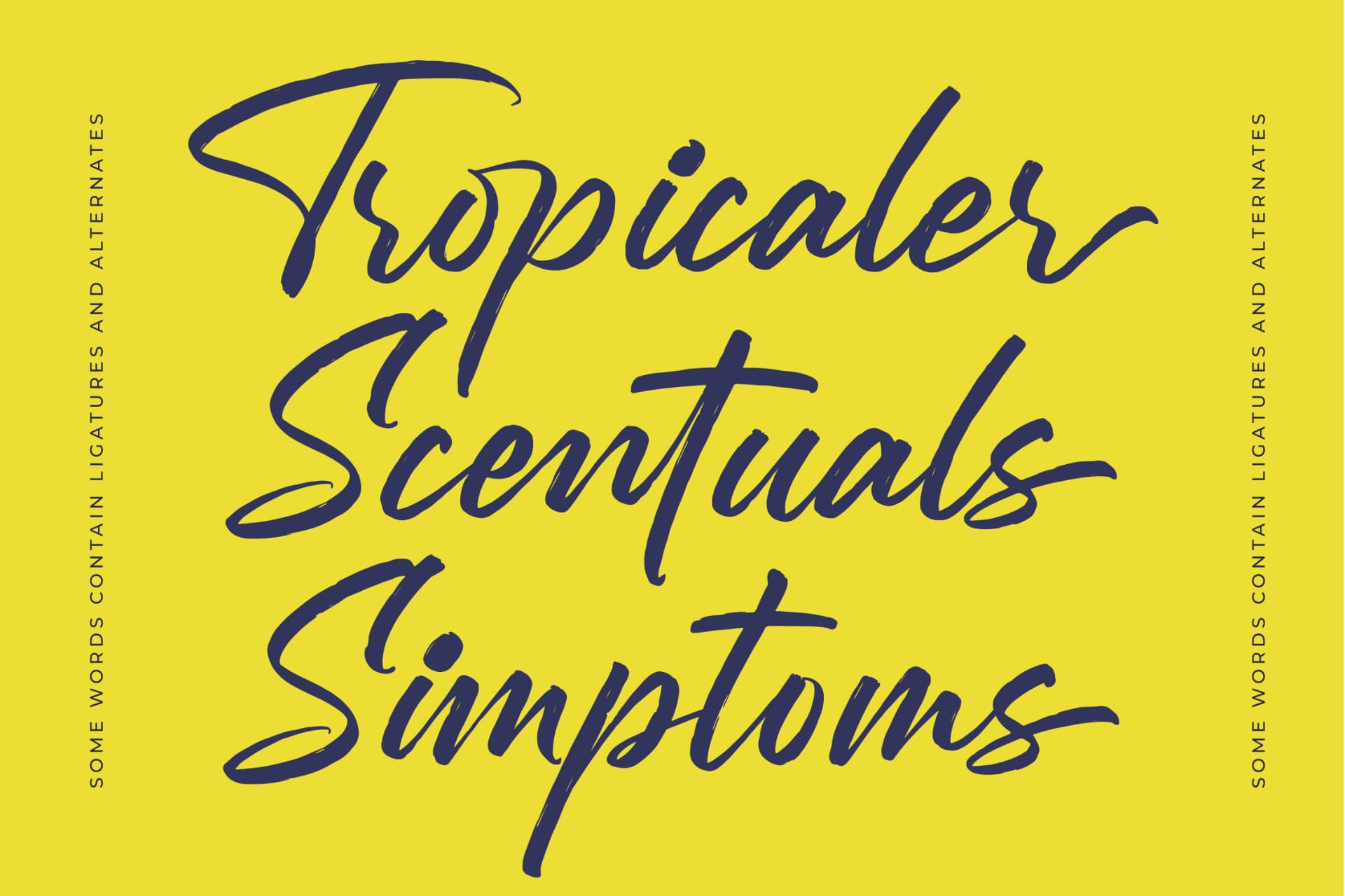 Preview 16 for Mention Roberto - Modern Brush Font