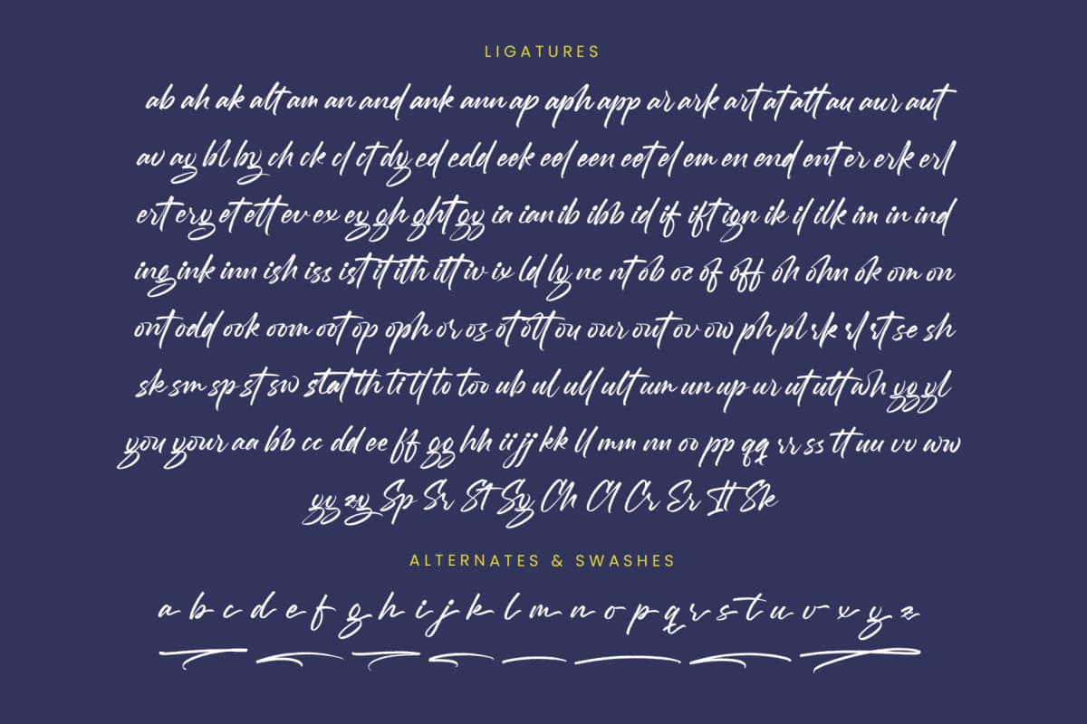 Preview 19 for Mention Roberto - Modern Brush Font