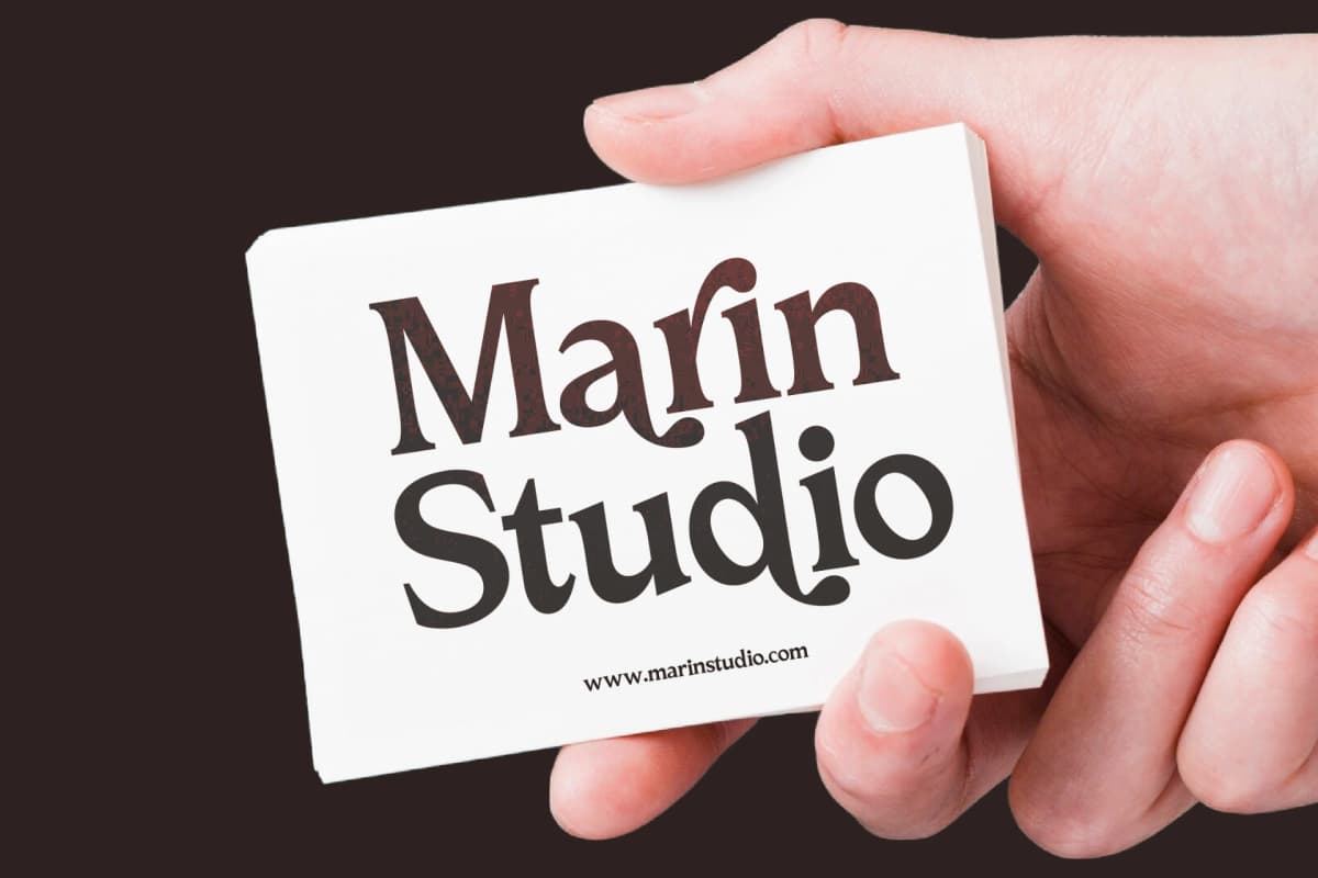 Katrine Nikolas - Modern Serif Display font preview 3