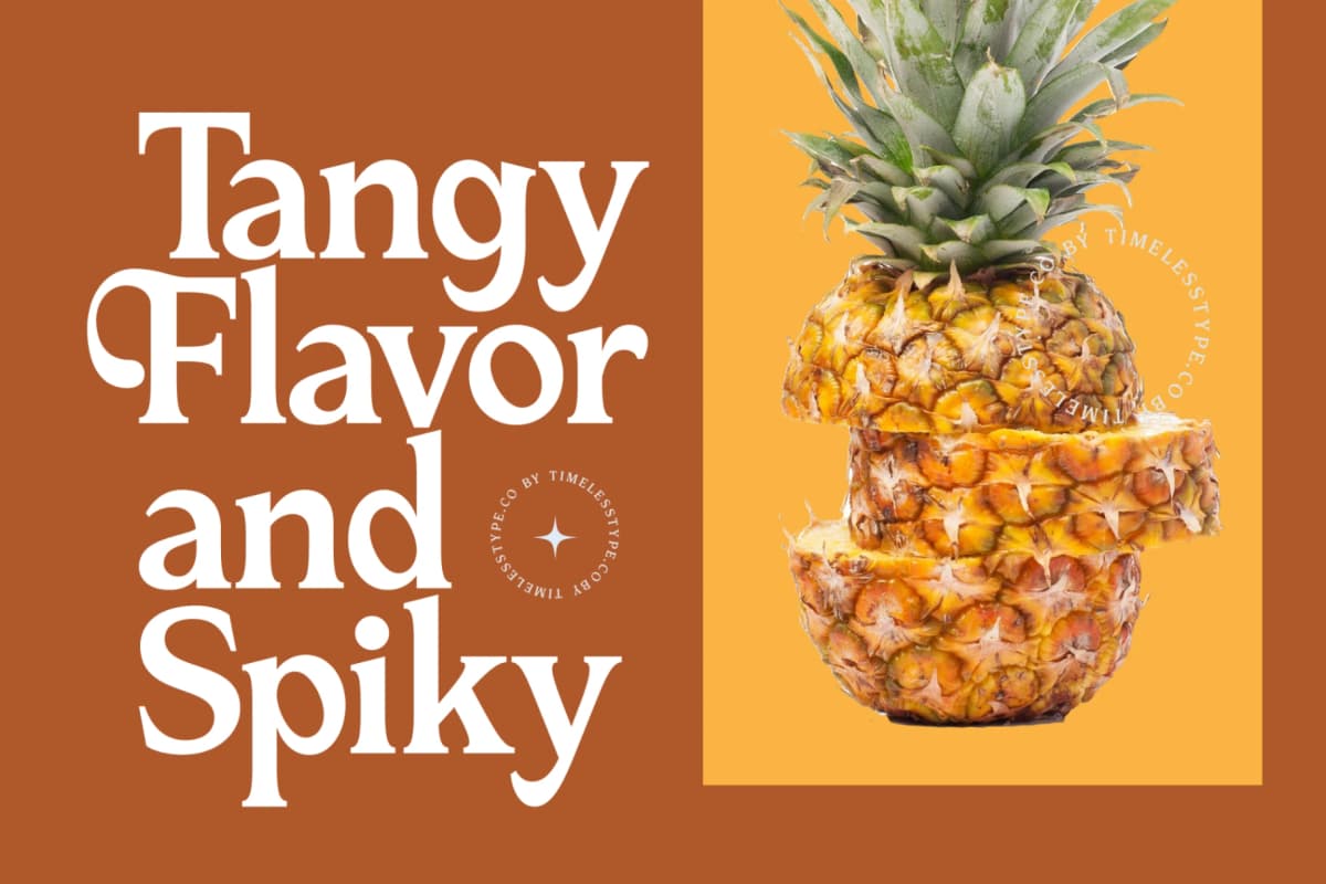 Katrine Nikolas - Modern Serif Display font preview 16