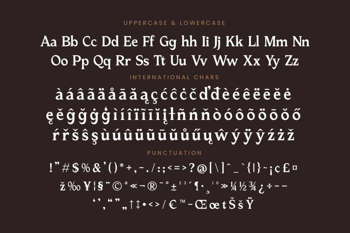Katrine Nikolas - Modern Serif Display font preview 19
