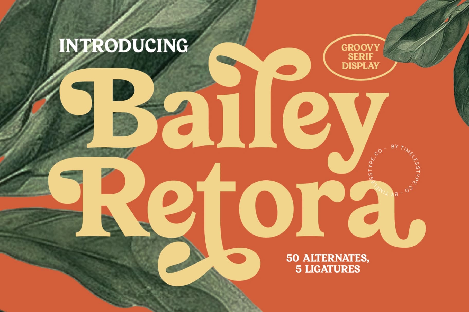 Preview of Bailey Retora - Groovy Serif Display font