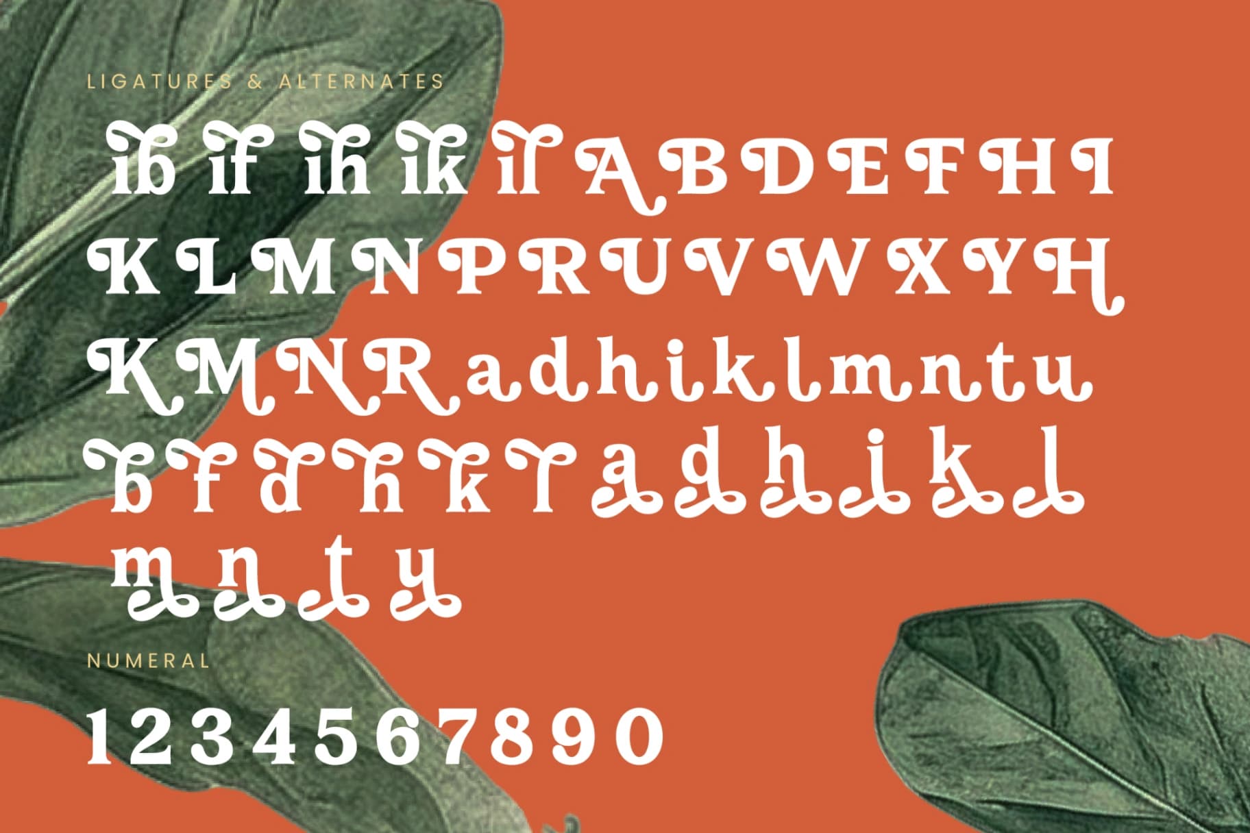 Preview 18 for Bailey Retora - Groovy Serif Display