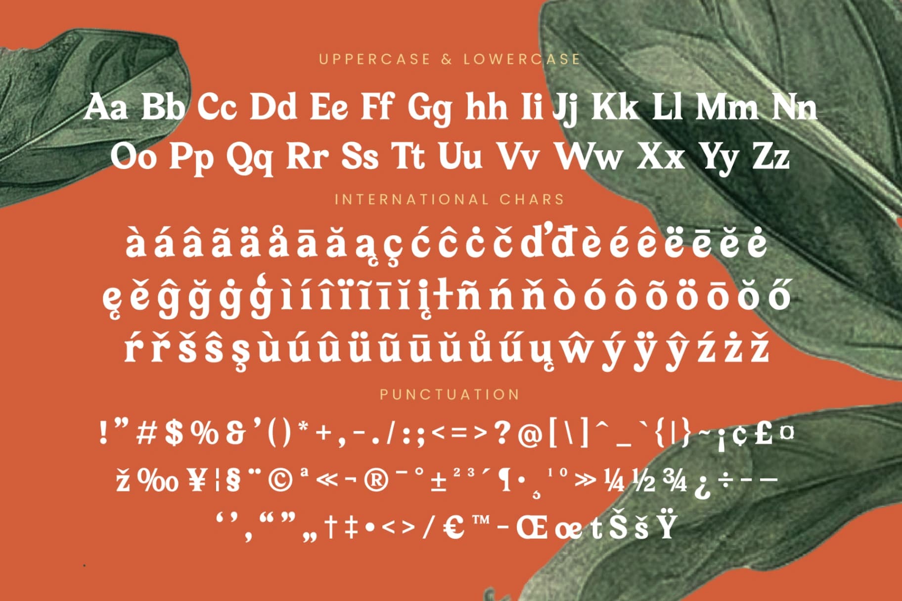 Preview 19 for Bailey Retora - Groovy Serif Display