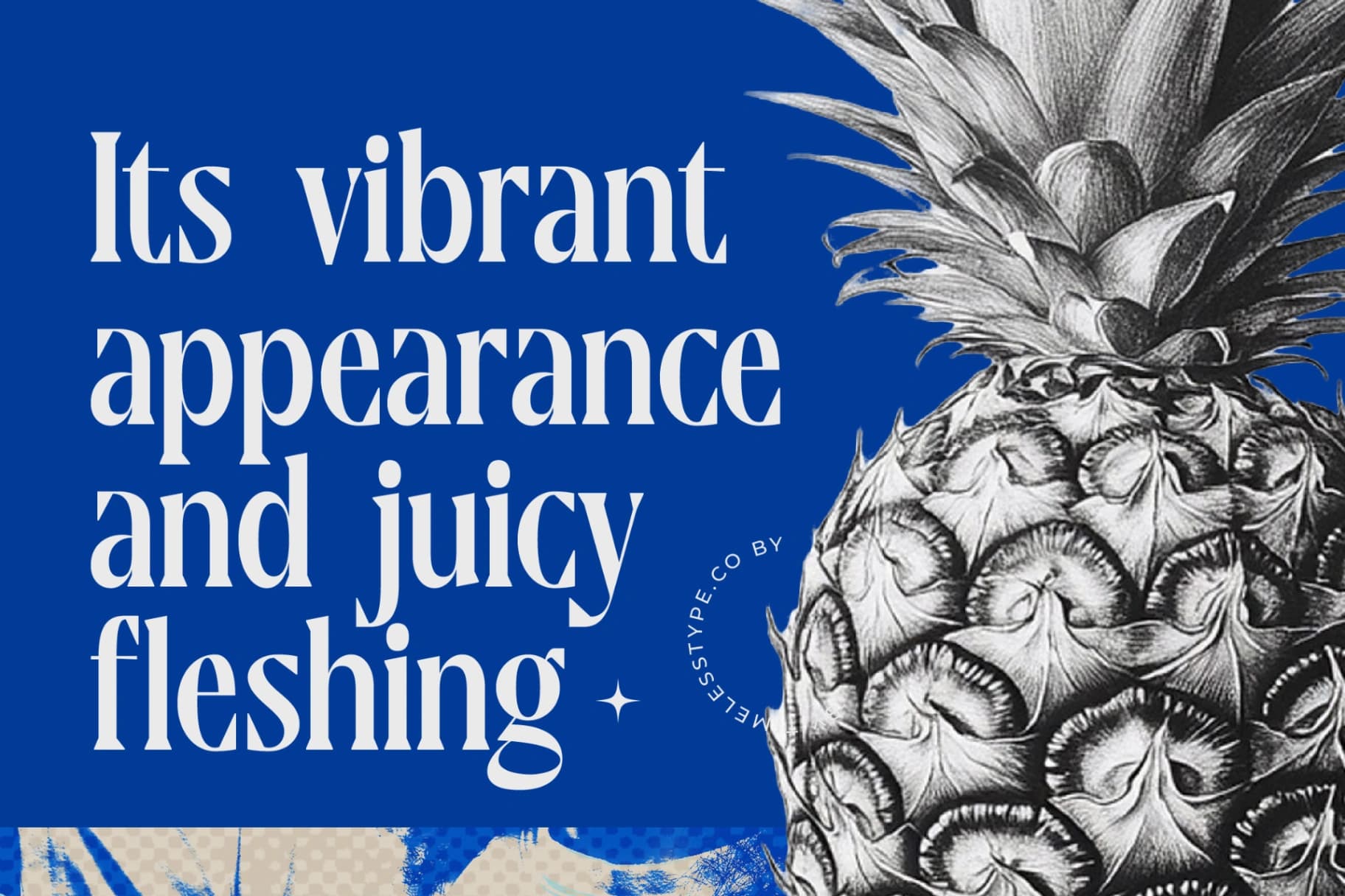 Preview 3 for Moonni Zehher - Bold Tall Serif