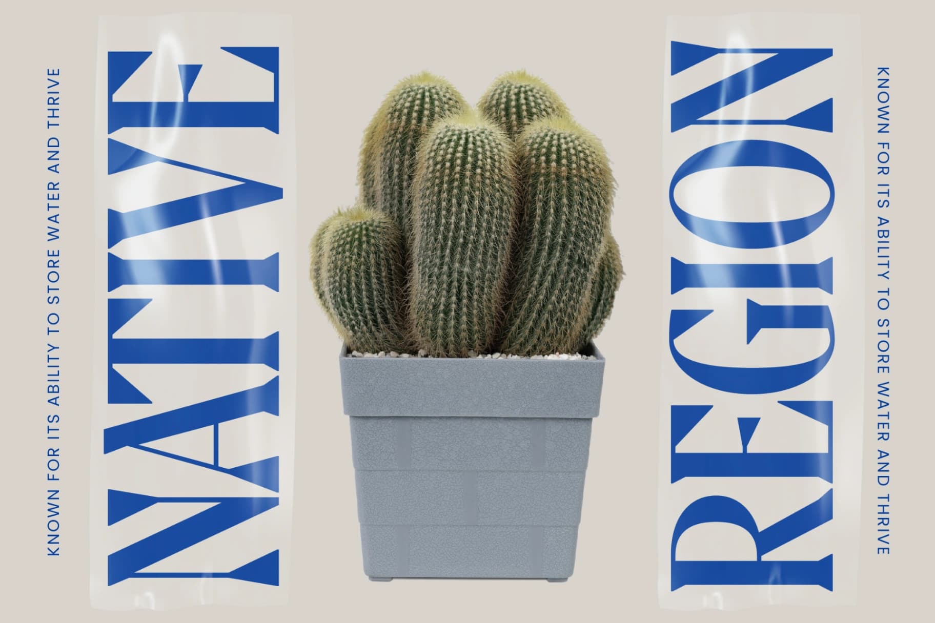 Preview 6 for Moonni Zehher - Bold Tall Serif