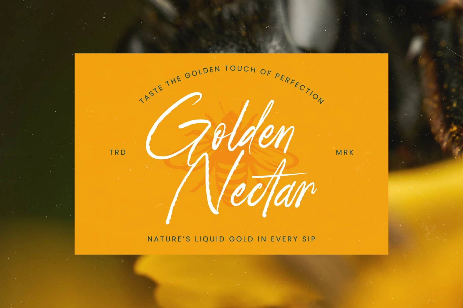 Preview 16 for Strength Brust - Modern Brush Font