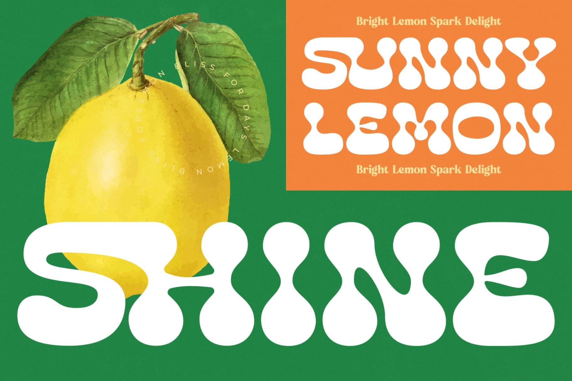 Preview 10 for Lemon Burst - Groovy Display Font
