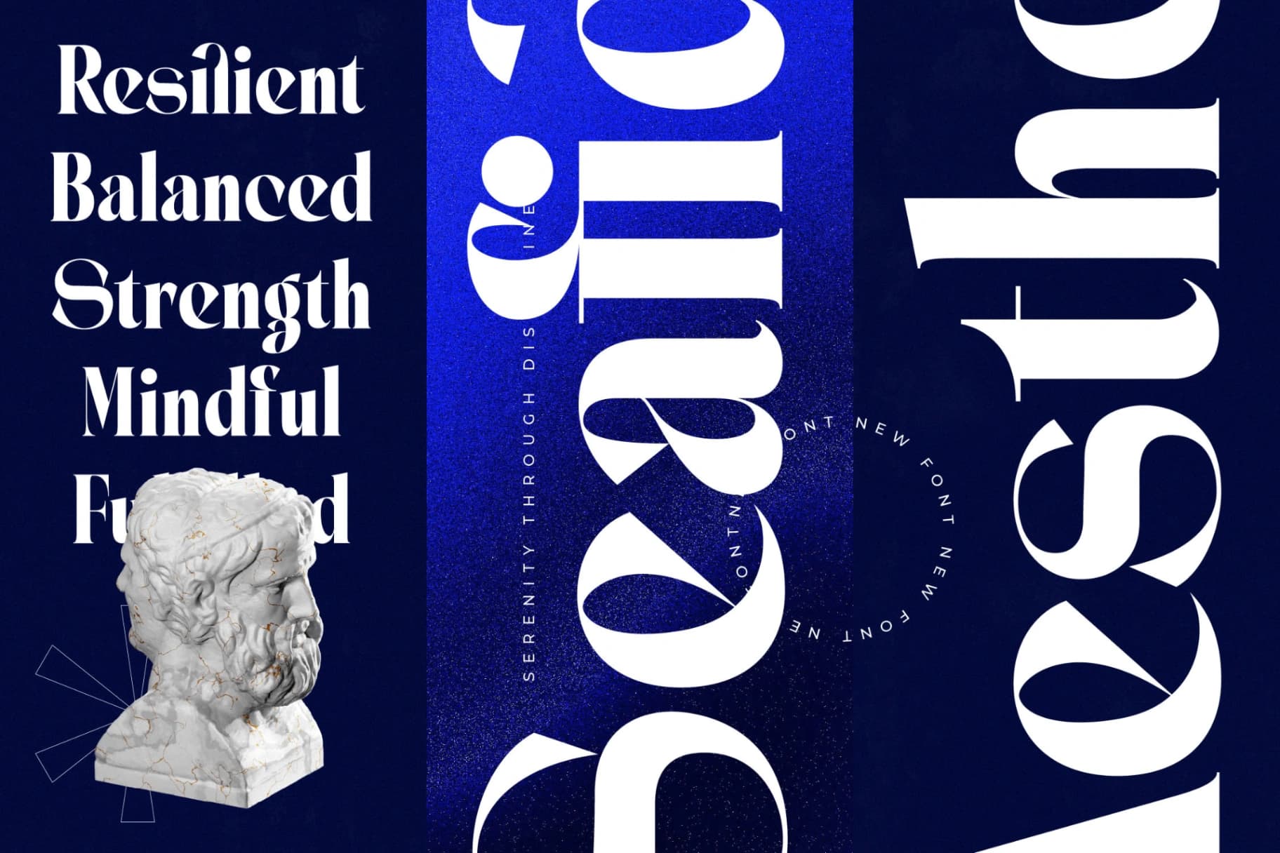 Preview 8 for Seafibe - Modern Serif Font