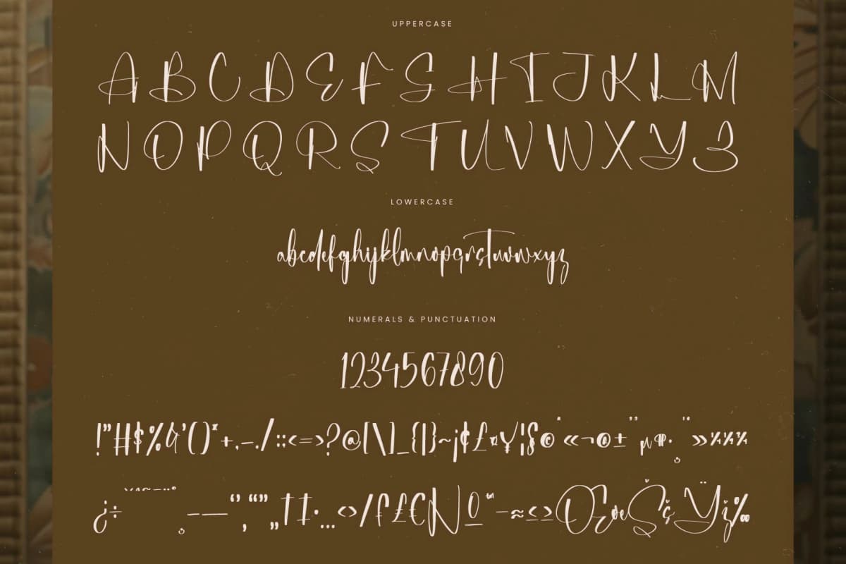 Michelyne - Stylish Signature Font font preview 18