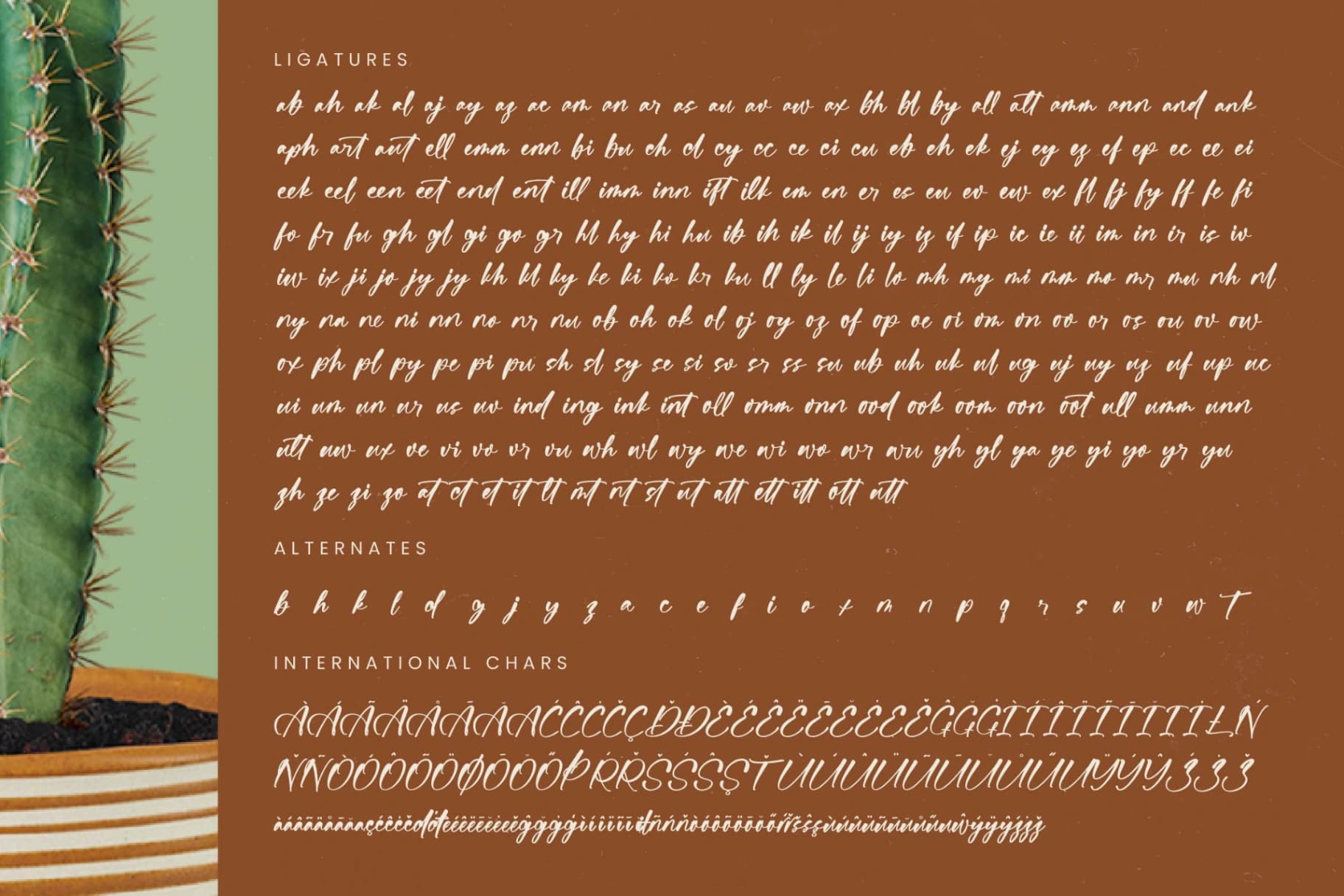 Preview 19 for Bartely Cactus - Natural Handwritten Font